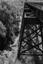 A Black and White of the Superstructure of the High Bridge